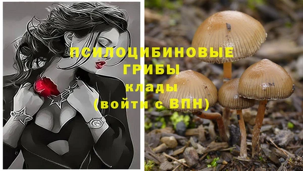 бутик Заволжье