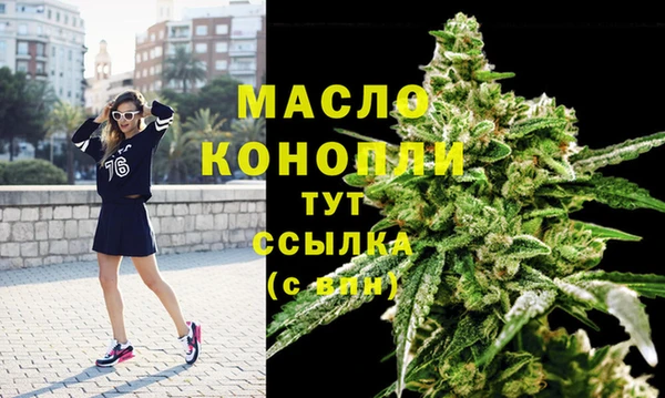 амф Щучье