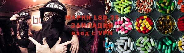 прущие грибы Шарыпово