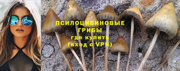 каннабис Заводоуковск